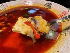 麻婆鲜椒鱼-陈麻婆豆腐(旗舰店)