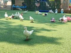 -生火火·小炉子炭烤(金楠天街总店)