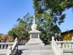 -江心屿景区