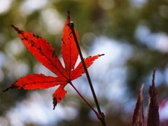 -苏州河梦清园环保主题公园