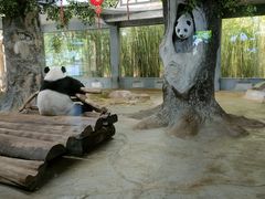 -海南热带野生动植物园