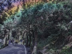 -南岳衡山风景名胜区