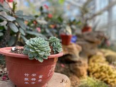 -国家植物园南园