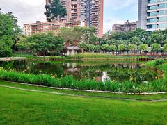 -四海公园(南山区)
