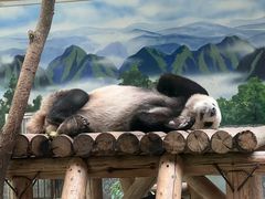 -西安秦岭野生动物园