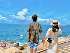 -广东惠东海龟国家级自然保护区