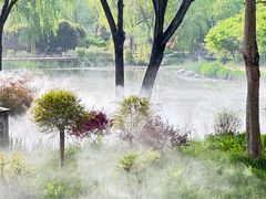 -郑州植物园