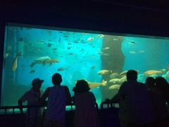 -北戴河圣蓝海洋公园