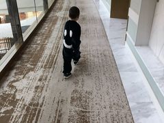 -上海滴水湖皇冠假日酒店