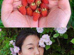 -远山有窑