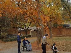 -森林公园(尖草坪区)