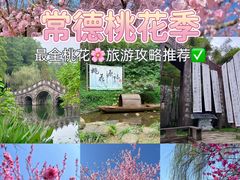 -常德桃花源景区