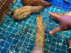-启东小海鲜(庄先湾路1号店)