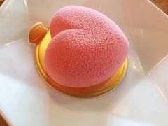 -sugarman espresso素饮糖人高新咖啡工厂