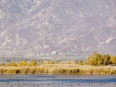 -野鸭湖国家湿地公园