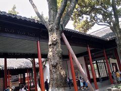 -南京中国近代史遗址博物馆(南京总统府)