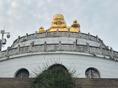 -苏州上方山国家森林公园