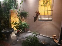 -威思丽高温瑜伽会馆