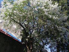-老徐烧烤涮肚(交道口店)
