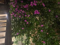 -浔岚云舍mist静谧观景美宿(丽江古城店)