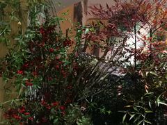 -萤火虫咖啡(后海店)