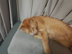 -MASTER FIT 拉伸大师·筋膜刀·西式按摩(上梅林卓悦汇店)