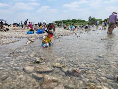 -绿堤公园