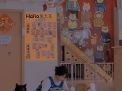 -南京Hallo宠物乐园·哈罗犬舍·柴犬繁育基地