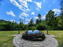 -五营红松林海景区