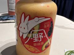 -野萃山·潮汕厚果汁(十亩地店)