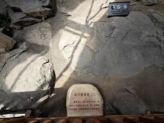 -中国第四纪冰川遗迹陈列馆