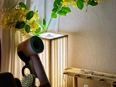-大鱼·养生·禅洗头疗·按摩SPA