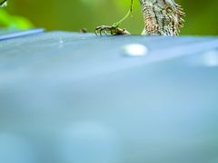 子兮摄影-30._副本-七仙岭君澜度假酒店