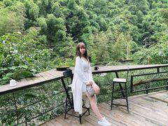 -芦沟竹海