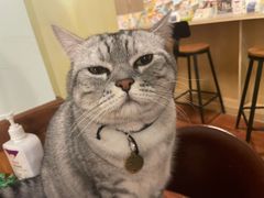 -H立方实景剧情密室(天河旗舰店)