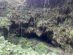 -海口火山口国家地质公园
