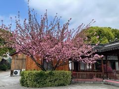 -渭塘酒家(生态园店)