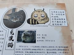 -青藏高原野生动物园