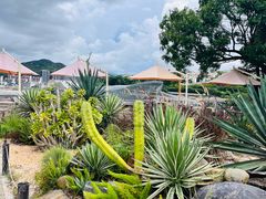 -Brew Farm·精酿农场海滨悬崖餐厅