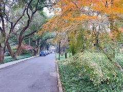 -浙江大学(玉泉校区)