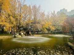 -温江公园