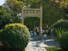 -晓港公园
