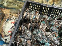 -隐厨·海鲜餐厅(恒通路店)