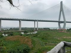 -芒洲湿地公园