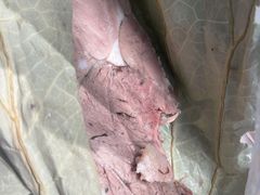 -东山矮马桶羊肉(太湖东山店)