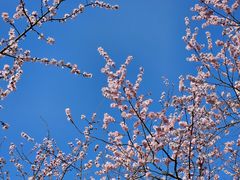 -朝阳公园