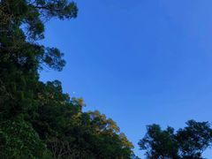 -梧桐山风景名胜区