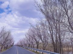 -桃花岛风景旅游区