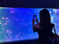 -左海海底世界
