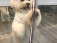 -PETKIT小佩宠物(古北店)